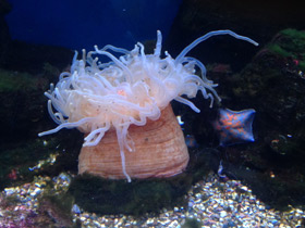 Смотреть фото Утрицина Фото Утрицина