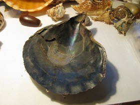 Смотреть фото Пинновые Фото Пинновые