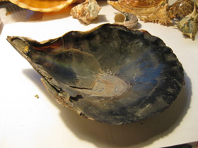 Смотреть фото Пинновые Фото Пинновые