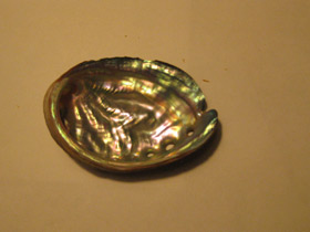 Смотреть фото Халиотисы Фото Халиотисы