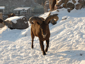 Смотреть фото Дагестанский тур Фото Дагестанский тур