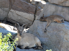 Смотреть фото Дагестанский тур Фото Дагестанский тур
