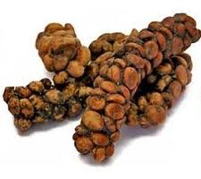 Гималайская цивета