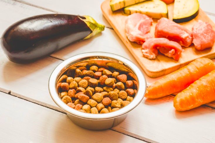 Чем кормить собаку: сухой корм или натуральная еда?