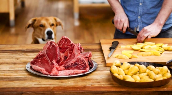 Каким мясом кормить собаку?