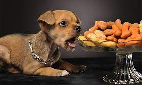 Основные минеральные вещества. Значение минеральных веществ