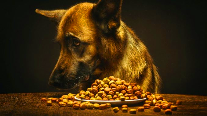 «Родные корма» для собак: состав консервов и сухих рационов