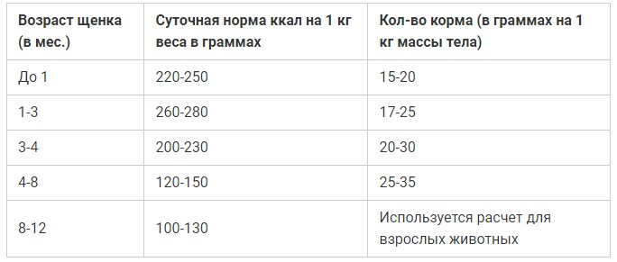 Сколько корма нужно собаке в день: таблицы