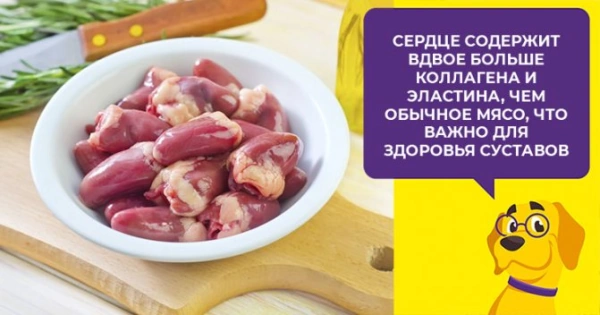Субпродукты для собак: сколько варить вымя говяжье